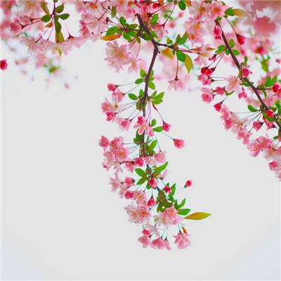 英皇体育娱乐下载APP/手机APP下载官方版